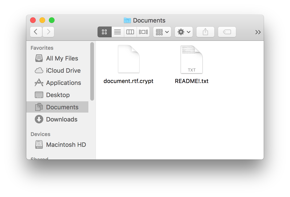 Figure 4 - Encrypted document and README!.txt as they appear in Finder